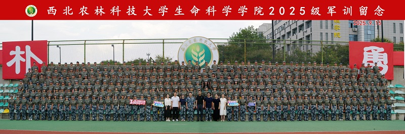 FBEEDED8B91D14F983843645E6017FBB.jpg