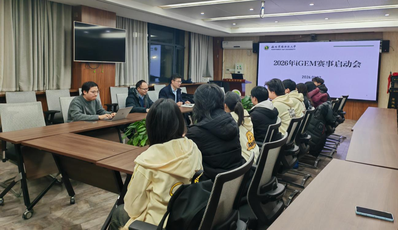 betway西汉姆联官方官网举办2026年iGEM赛事启动会.jpg