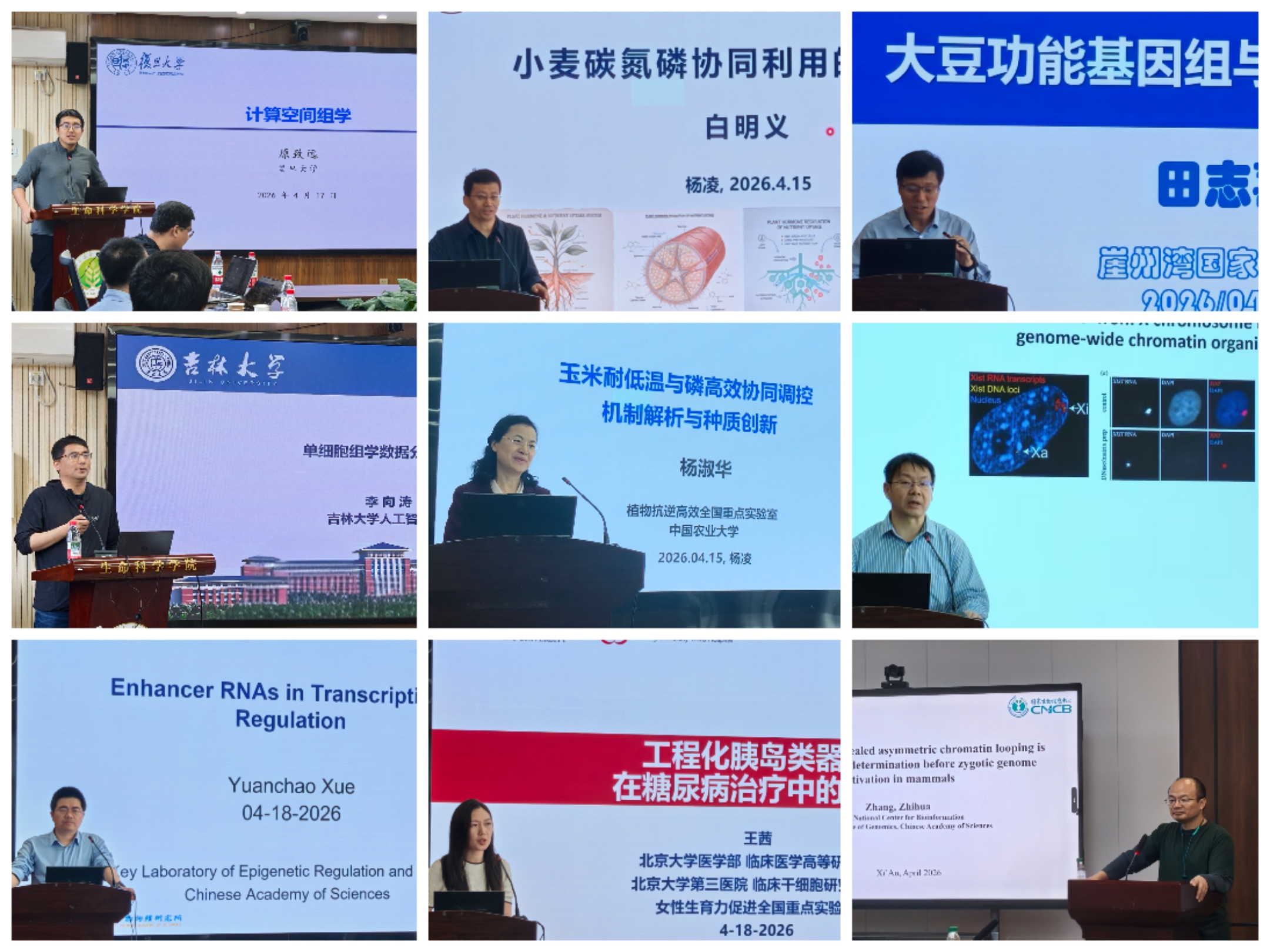 报告会拼图.jpg