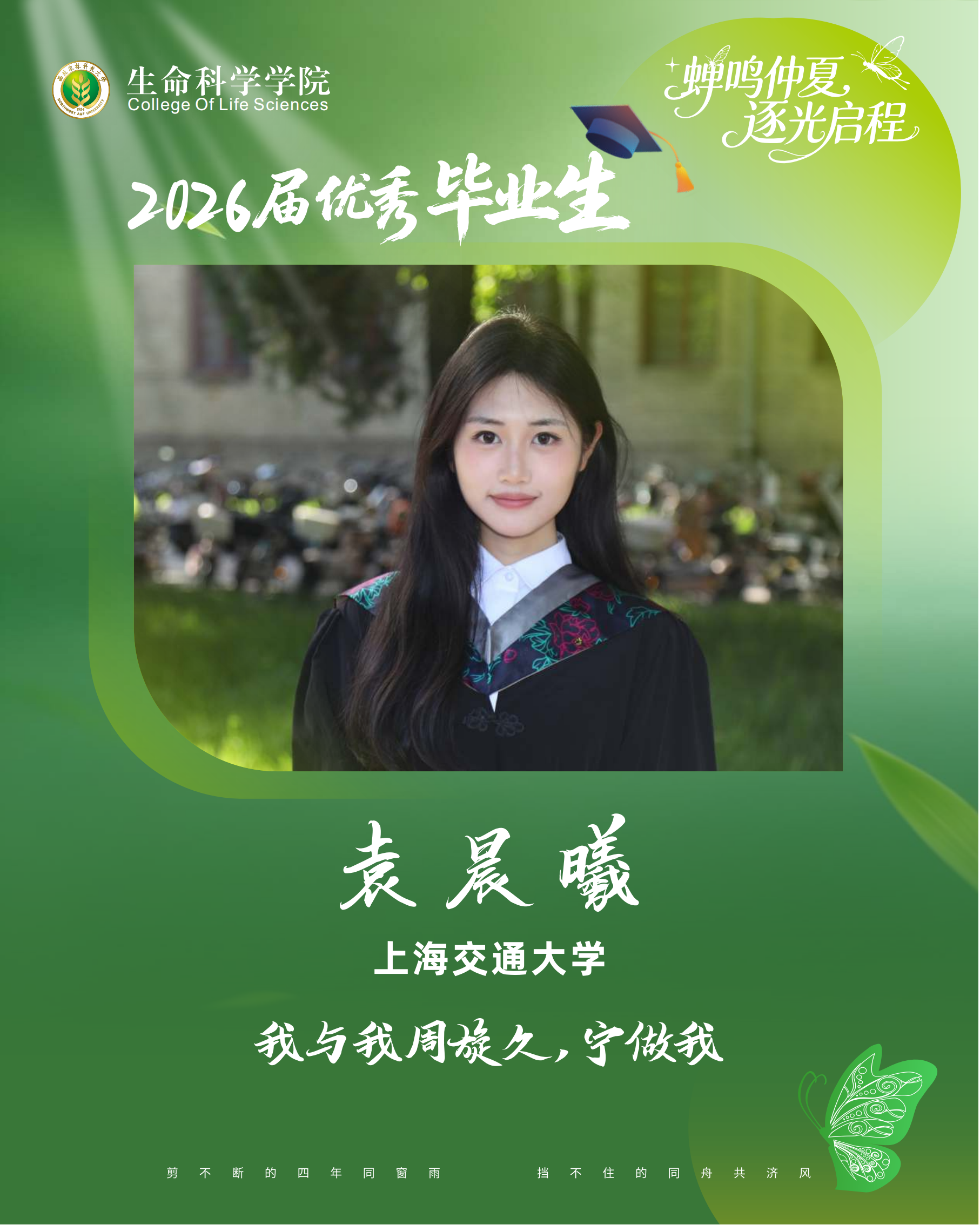 优毕 袁晨曦.png