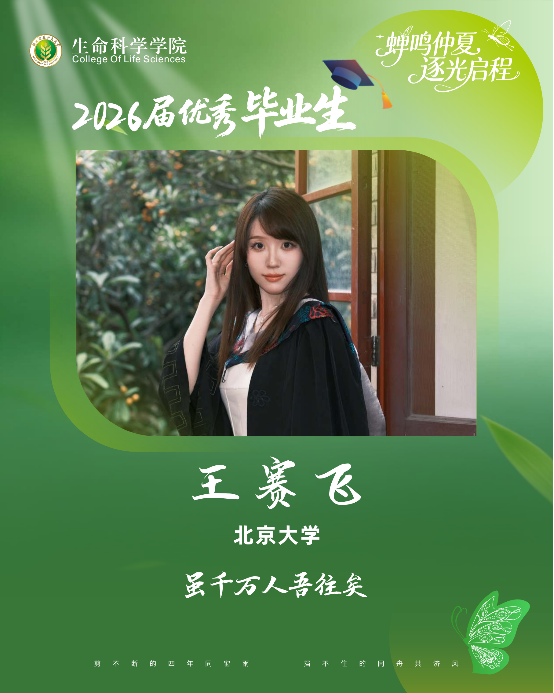 优毕 王赛飞.png